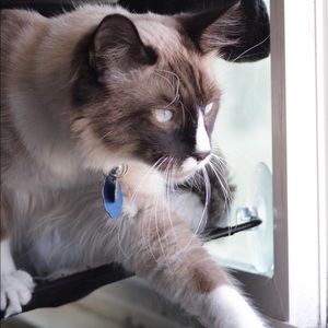 Meet your Posher, Ruth